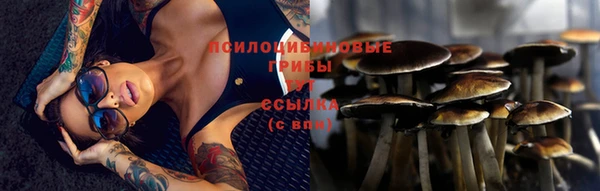 твердый Верея